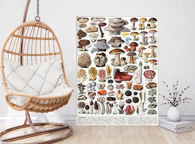 Tile Mural/Mosaic Ceramic Panel of Mushrooms - Adolphe Millot - Vintage Fungal Print Wall Art - Adolphe Millot Print Vintage Illustration