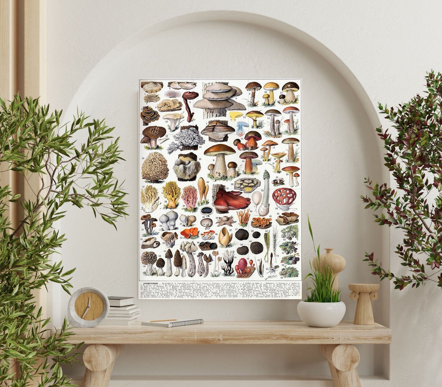 Tile Mural/Mosaic Ceramic Panel of Mushrooms - Adolphe Millot - Vintage Fungal Print Wall Art - Adolphe Millot Print Vintage Illustration