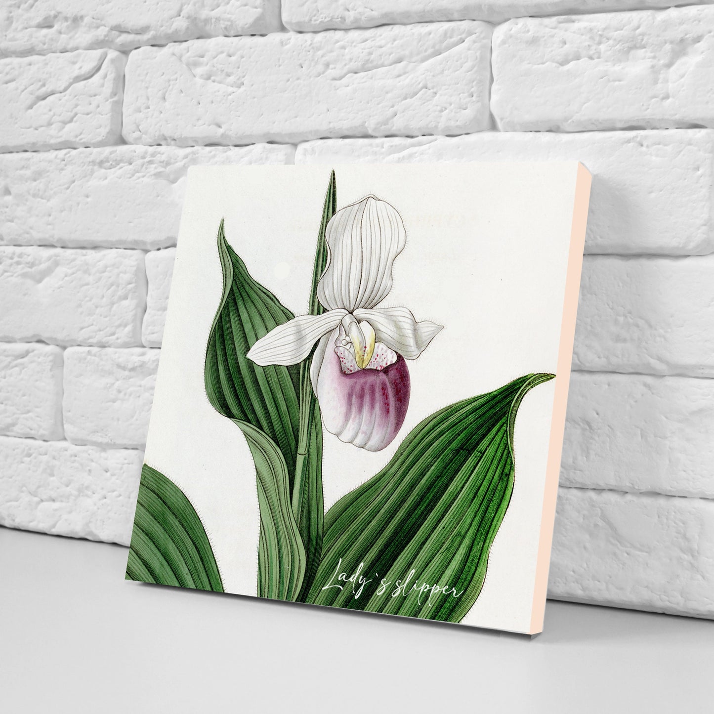 Vintage Botanical Print Ceramic Tiles - Set of 3 Ceramic Decor Tiles - Kitchen Backsplash Tiles, Bathroom Tiles, Botanical wall art
