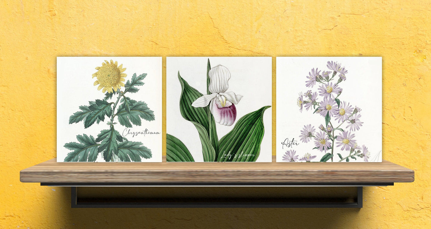 Vintage Botanical Print Ceramic Tiles - Set of 3 Ceramic Decor Tiles - Kitchen Backsplash Tiles, Bathroom Tiles, Botanical wall art