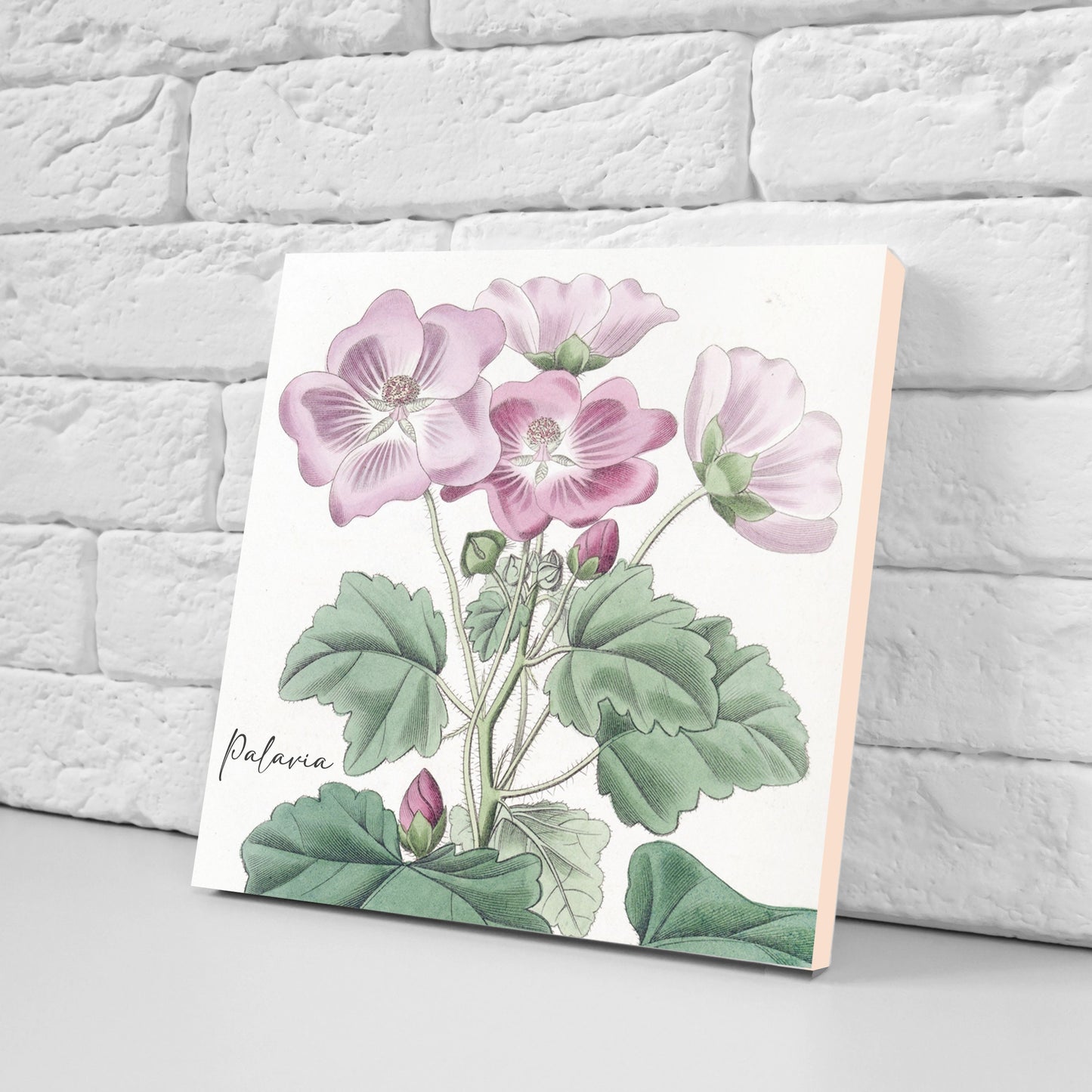 Vintage Botanical Print Ceramic Tiles - Set of 3 Ceramic Decor Tiles - Kitchen Backsplash Tiles, Bathroom Tiles, Botanical wall art