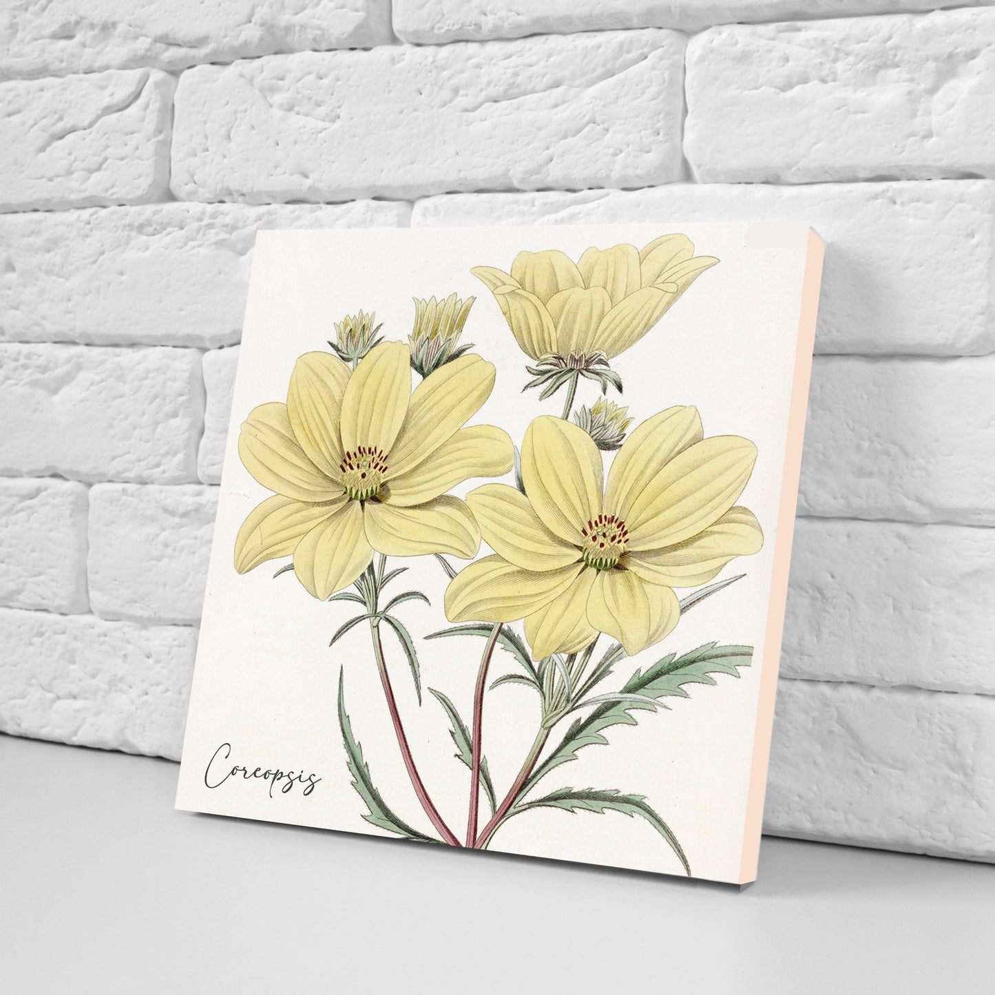Vintage Botanical Print Ceramic Tiles - Set of 3 Ceramic Decor Tiles - Kitchen Backsplash Tiles, Bathroom Tiles, Botanical wall art
