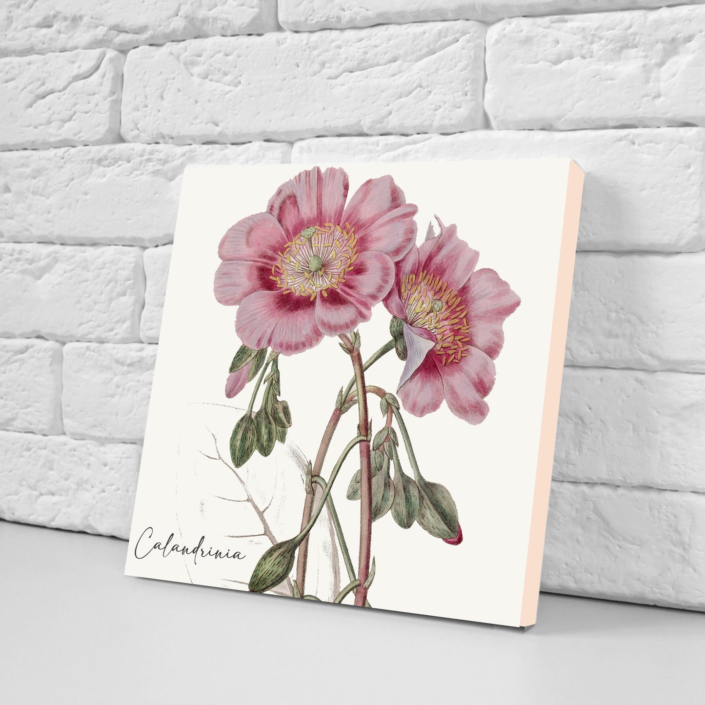 Vintage Botanical Print Ceramic Tiles - Set of 3 Ceramic Decor Tiles - Kitchen Backsplash Tiles, Bathroom Tiles, Botanical wall art
