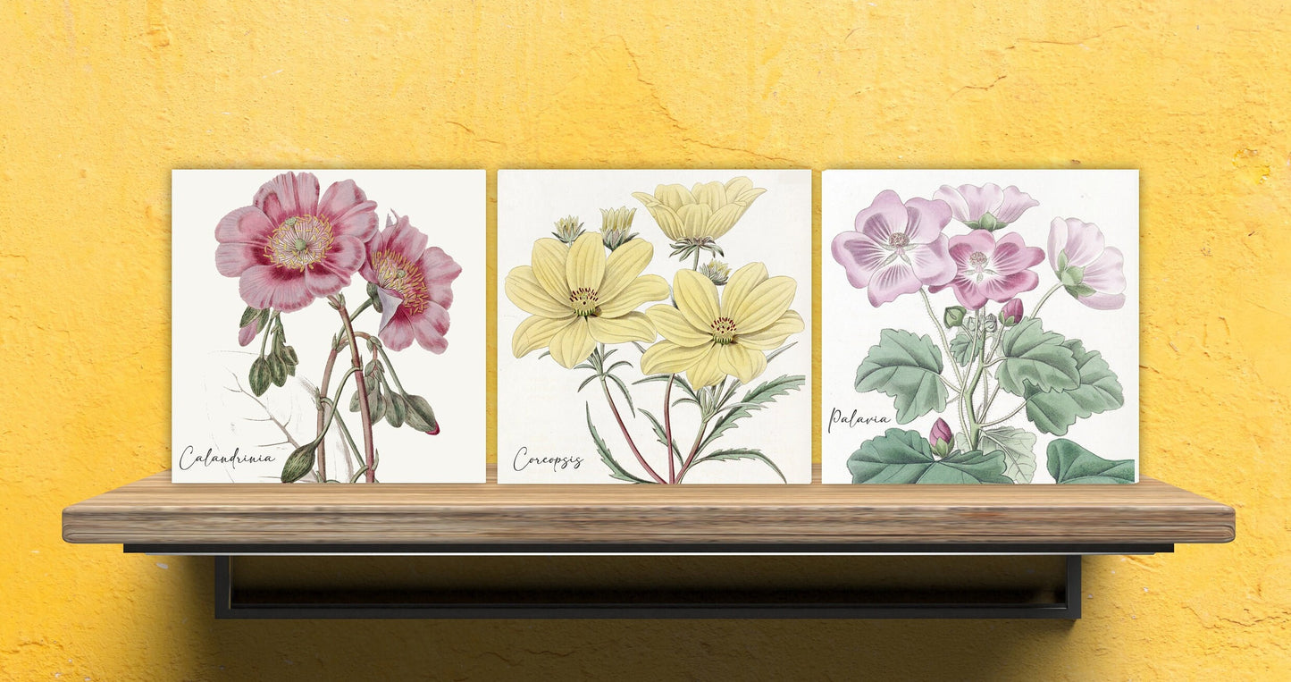 Vintage Botanical Print Ceramic Tiles - Set of 3 Ceramic Decor Tiles - Kitchen Backsplash Tiles, Bathroom Tiles, Botanical wall art