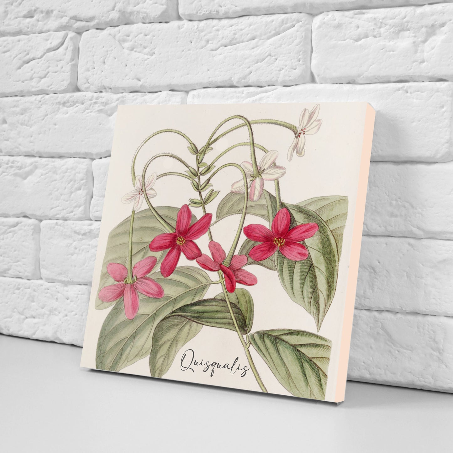 Vintage Botanical Print Ceramic Tiles - Set of 3 Ceramic Decor Tiles - Kitchen Backsplash Tiles, Bathroom Tiles, Botanical wall art