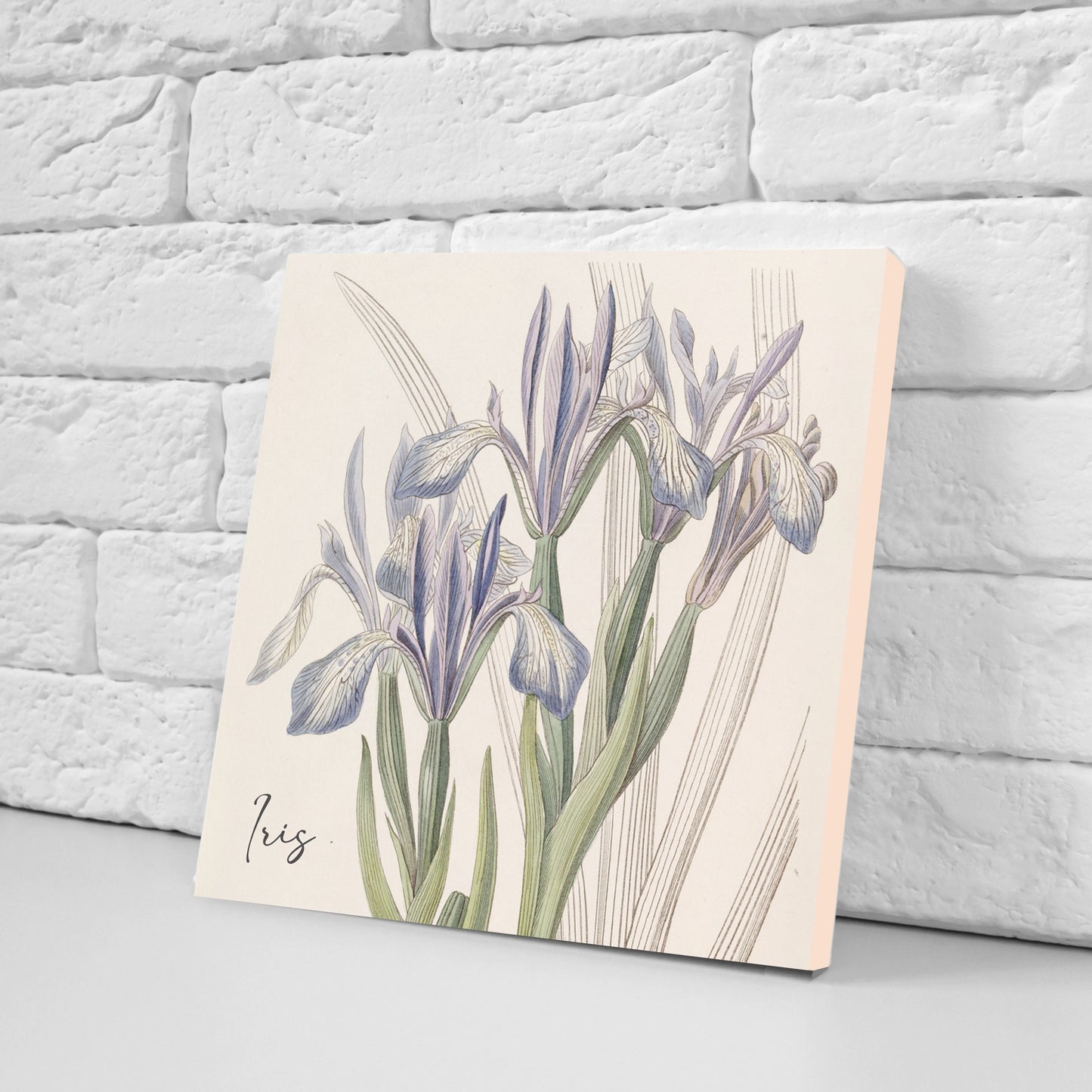 Vintage Botanical Print Ceramic Tiles - Set of 3 Ceramic Decor Tiles - Kitchen Backsplash Tiles, Bathroom Tiles, Botanical wall art