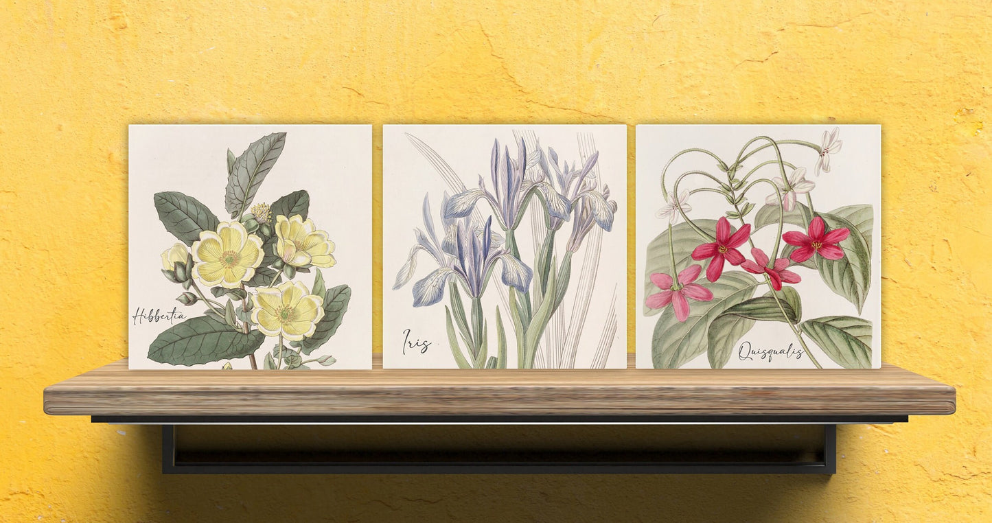 Vintage Botanical Print Ceramic Tiles - Set of 3 Ceramic Decor Tiles - Kitchen Backsplash Tiles, Bathroom Tiles, Botanical wall art
