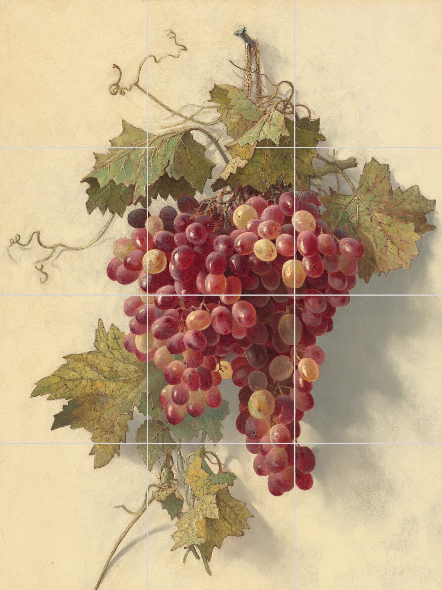 Vintage Botanica Tile Mural of Grapes - Edwin Deakin print - Fruit wall Print - Home Decor -Tile Mosaic - Kitchen backsplash - Grapes Print