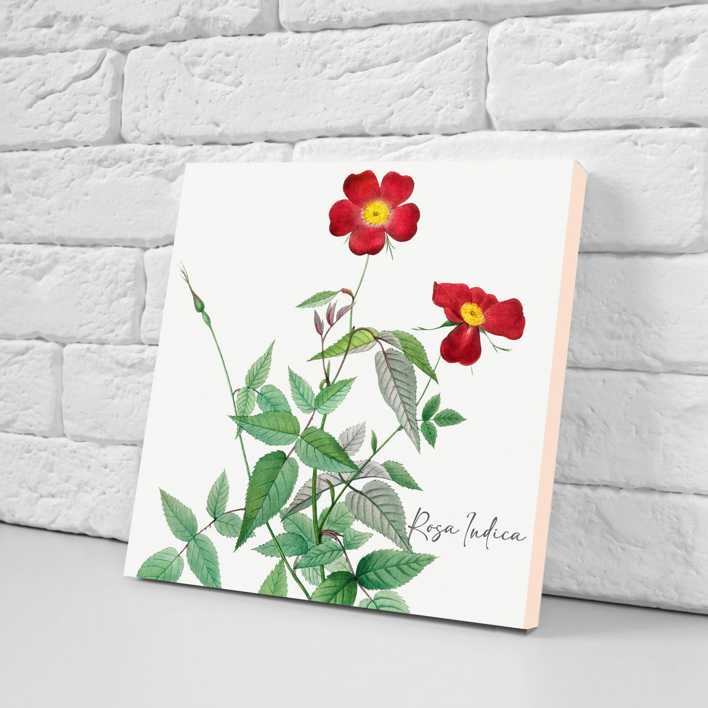 Vintage Botanical Print Ceramic Tiles - Set of 3 Ceramic Decor Tiles - Kitchen Backsplash Tiles, Bathroom Tiles, Botanical wall art