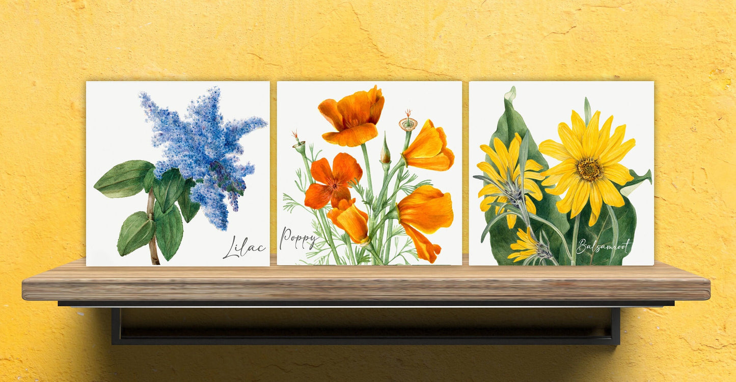 Vintage Botanical Print Ceramic Tiles - Set of 3 Ceramic Decor Tiles - Kitchen Backsplash Tiles, Bathroom Tiles, Botanical wall art