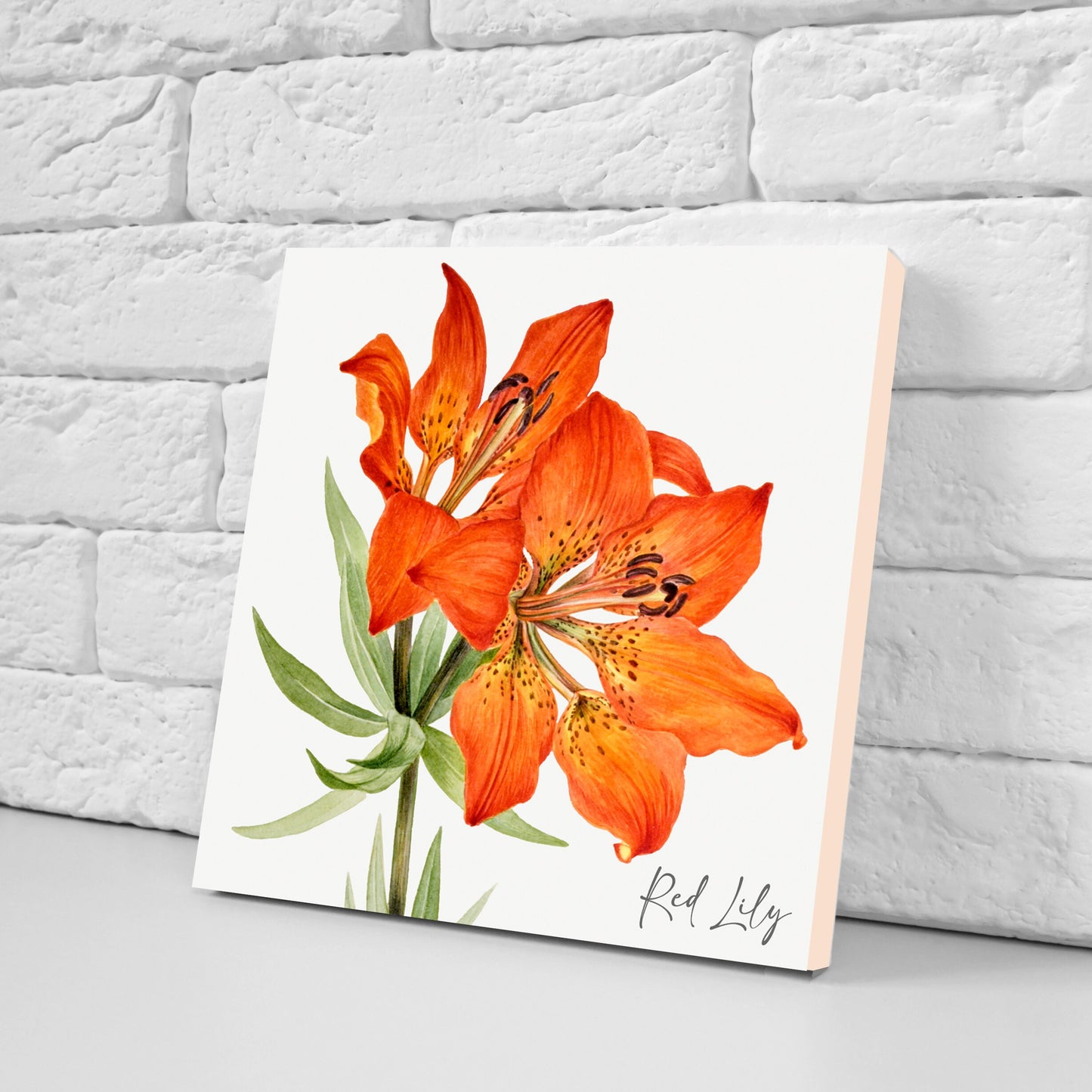 Vintage Botanical Print Ceramic Tiles - Set of 3 Ceramic Decor Tiles - Kitchen Backsplash Tiles, Bathroom Tiles, Botanical wall art