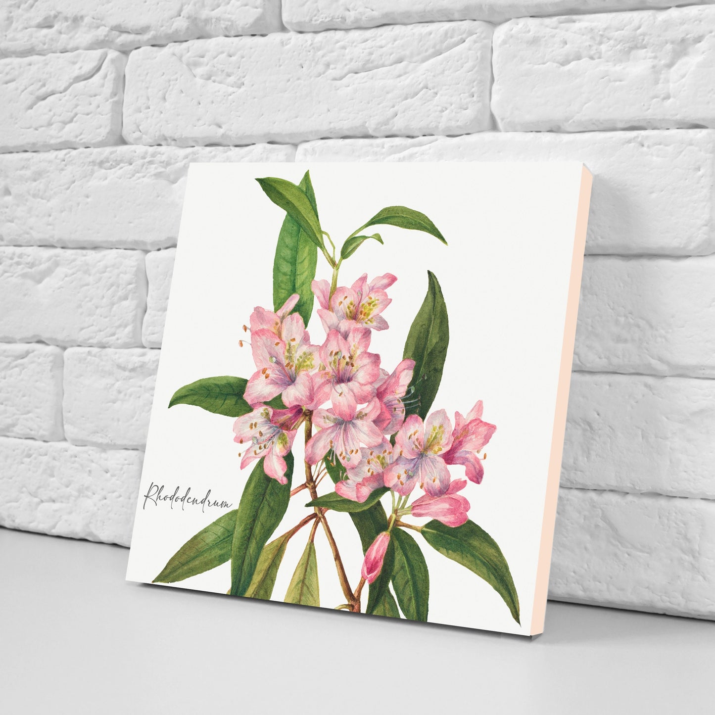 Vintage Botanical Print Ceramic Tiles - Set of 3 Ceramic Decor Tiles - Kitchen Backsplash Tiles, Bathroom Tiles, Botanical wall art