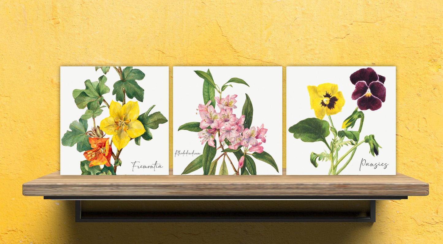 Vintage Botanical Print Ceramic Tiles - Set of 3 Ceramic Decor Tiles - Kitchen Backsplash Tiles, Bathroom Tiles, Botanical wall art