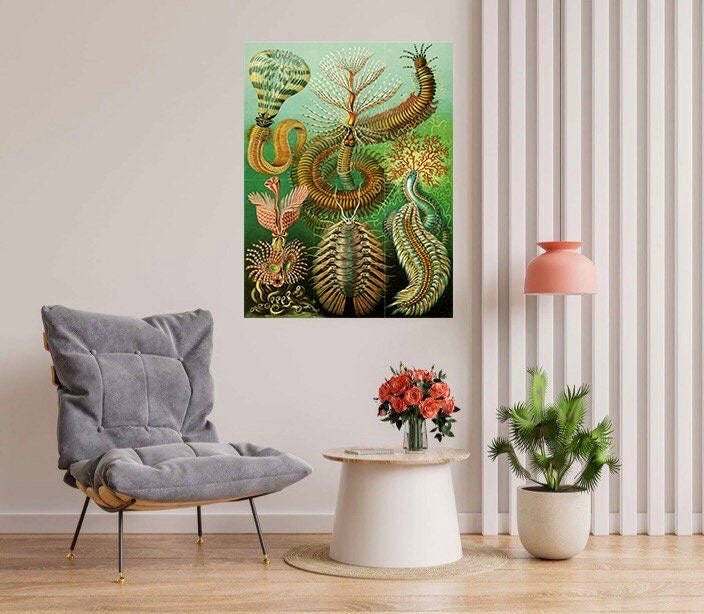 Tile Mural/Mosaic Ceramic Panel of Sea Life - Sea Creatures - Vintage Sea Life Print - Ernst Haeckel Print Vintage Illustration - Ocean Life