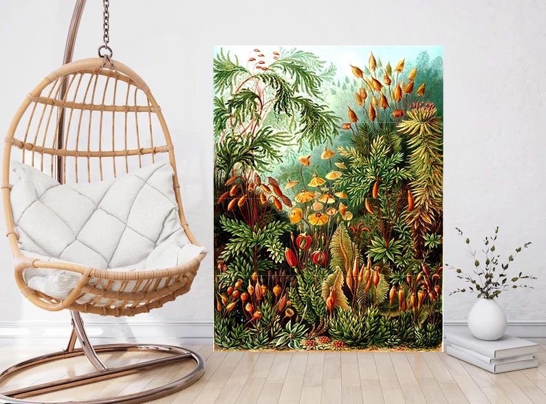 Tile Mural/Mosaic Ceramic Panel of Muscinae - Ernst Haeckel Botanical Print -Ernst Haeckel Print - Vintage Botanical Print - Floral Wall Art