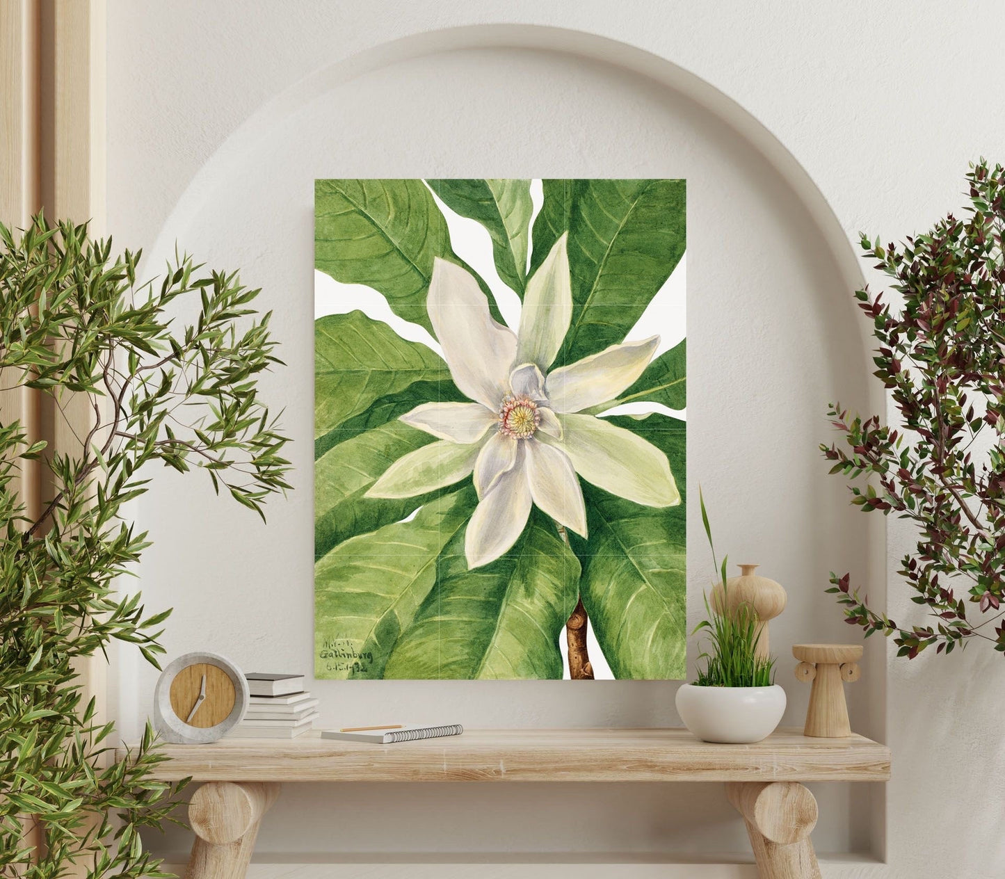Tile Mural/Mosaic Ceramic Panel of Umbrella Tree Magnolia Tripetala - Mary Vaux Walcott - Flower Mural Wall Art - Vintage Botanical Print
