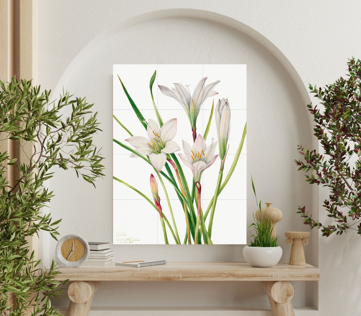 Tile Mural/Mosaic Ceramic Panel of Atamasco Lily - Mary Vaux Walcott - Flower Wall Art - Vintage Botanical Print - Floral Art - Lily Print