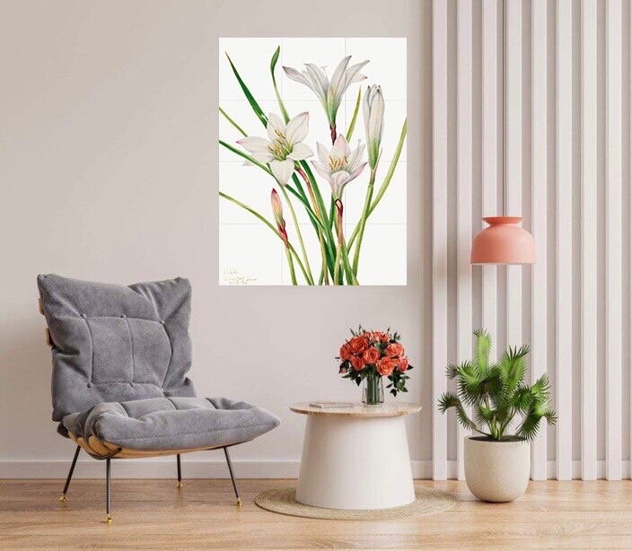 Tile Mural/Mosaic Ceramic Panel of Atamasco Lily - Mary Vaux Walcott - Flower Wall Art - Vintage Botanical Print - Floral Art - Lily Print