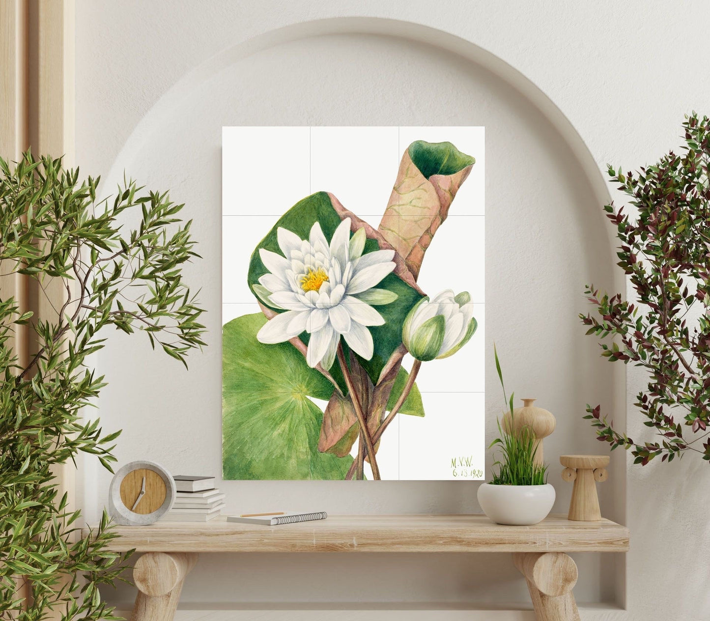 Tile Mural/Mosaic Ceramic Panel of American Waterlily - Mary Vaux Walcott -Flower Wall Art -Vintage Botanical Print -Floral Art - Lily Print