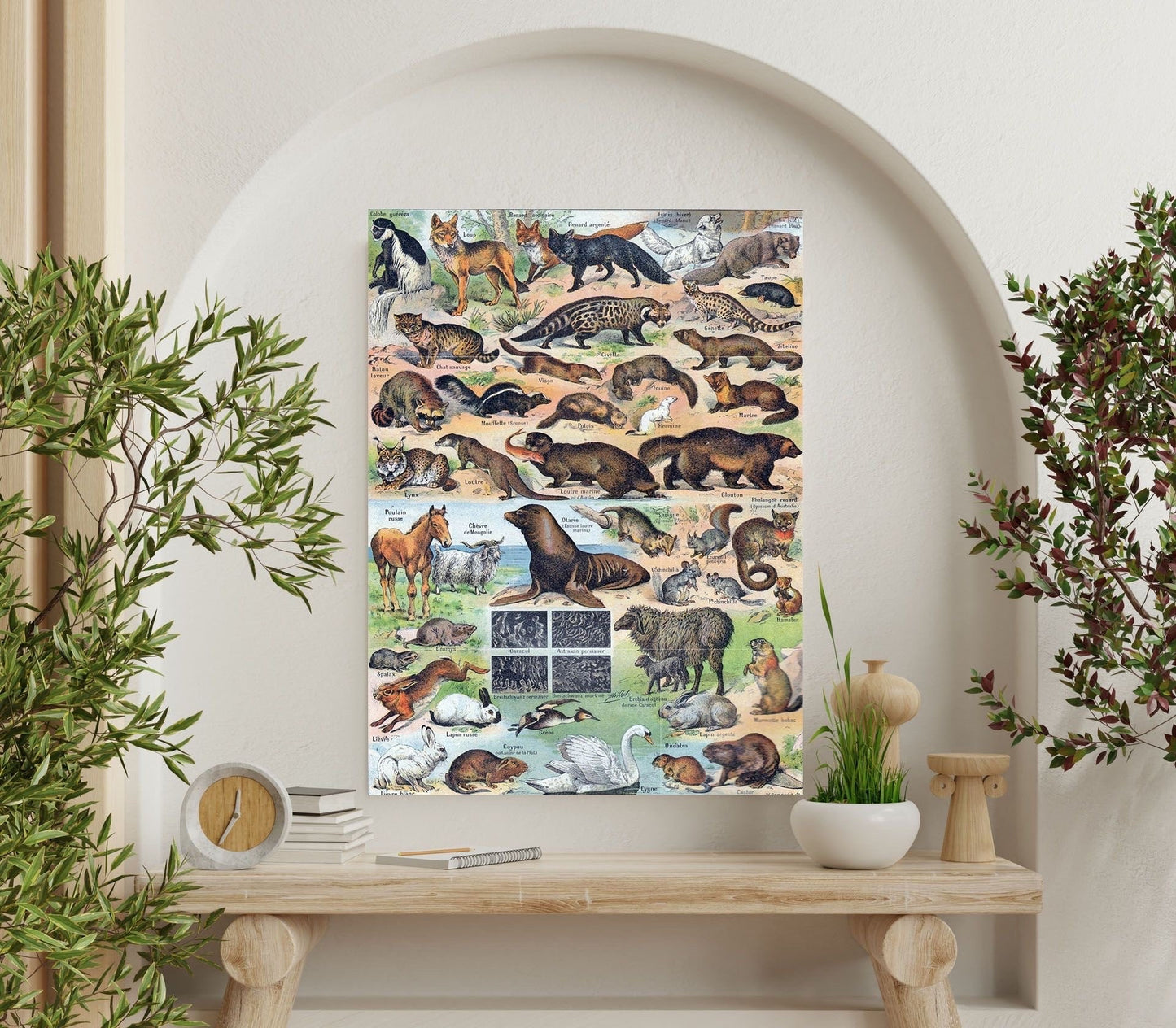 Tile Mural/Mosaic Ceramic Panel of Fury Animals - Adolphe Millot - Vintage Print - Animal Wall Art - Adolphe Millot Vintage Illustration