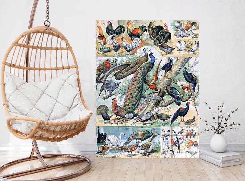Tile Mural/Mosaic Ceramic Panel of Birds - Adolphe Millot - Vintage Print - Bird Wall Art - Adolphe Millot Vintage Illustration - Bird Mural