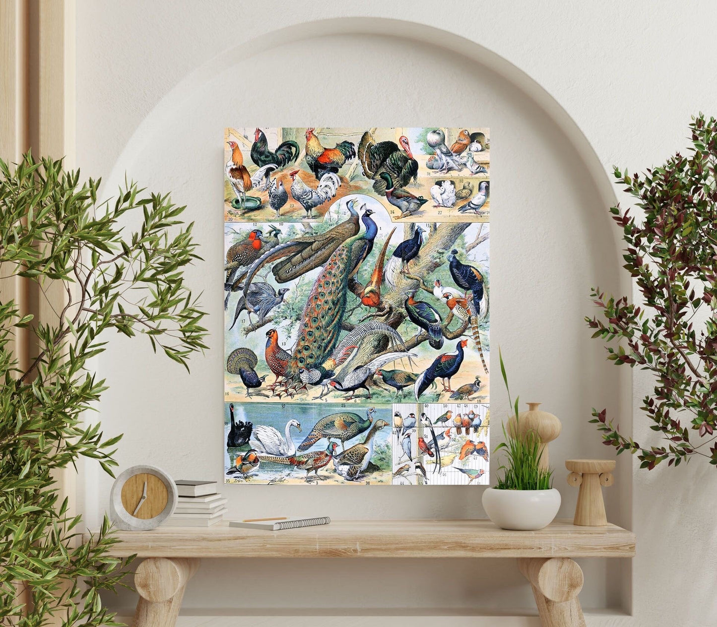 Tile Mural/Mosaic Ceramic Panel of Birds - Adolphe Millot - Vintage Print - Bird Wall Art - Adolphe Millot Vintage Illustration - Bird Mural