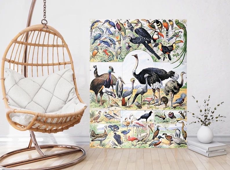 Tile Mural/Mosaic Ceramic Panel of Birds - Adolphe Millot - Vintage Print - Bird Wall Art - Adolphe Millot Vintage Illustration - Bird Mural
