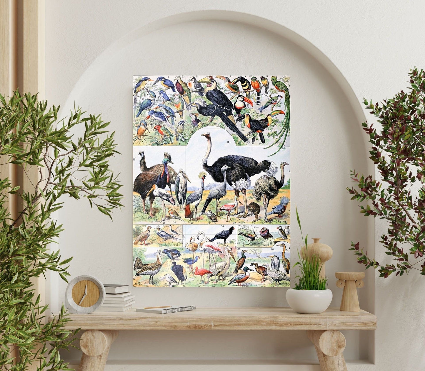 Tile Mural/Mosaic Ceramic Panel of Birds - Adolphe Millot - Vintage Print - Bird Wall Art - Adolphe Millot Vintage Illustration - Bird Mural