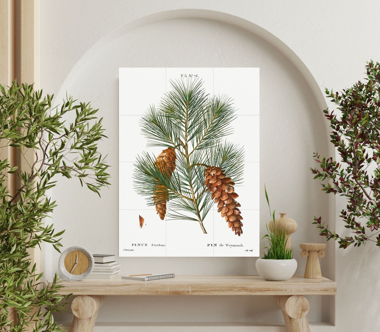 Tile Mural/Mosaic Ceramic White Pine - Pierre-Joseph Redoute - Botanical Wall Art - Vintage Botanical Print - Vintage Botanical Illustration