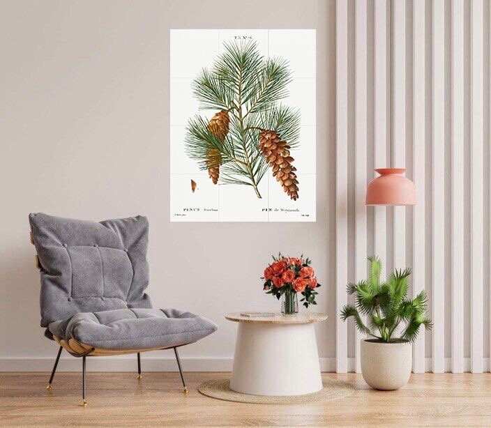 Tile Mural/Mosaic Ceramic White Pine - Pierre-Joseph Redoute - Botanical Wall Art - Vintage Botanical Print - Vintage Botanical Illustration