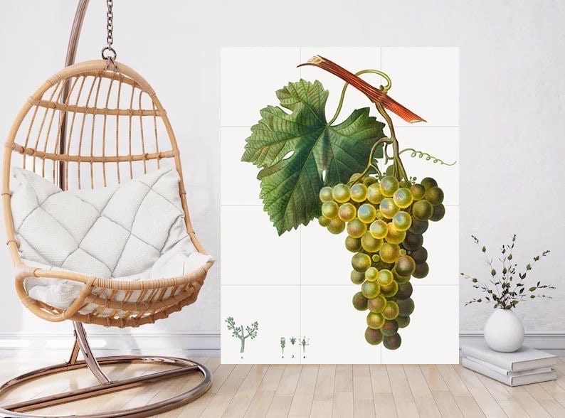 Tile Mural/Mosaic Ceramic Grape Vine Vitis - Pierre-Joseph Redoute - Fruit Wall Art -Vintage Botanical Print- Fruits Wall Art - Fruit Print