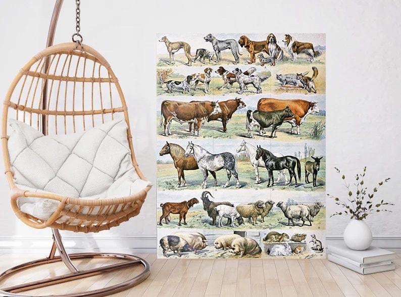 Tile Mural/Mosaic Ceramic Panel of Mammals - Adolphe Millot - Vintage Print - Animal Wall Art - Adolphe Millot Vintage Illustration