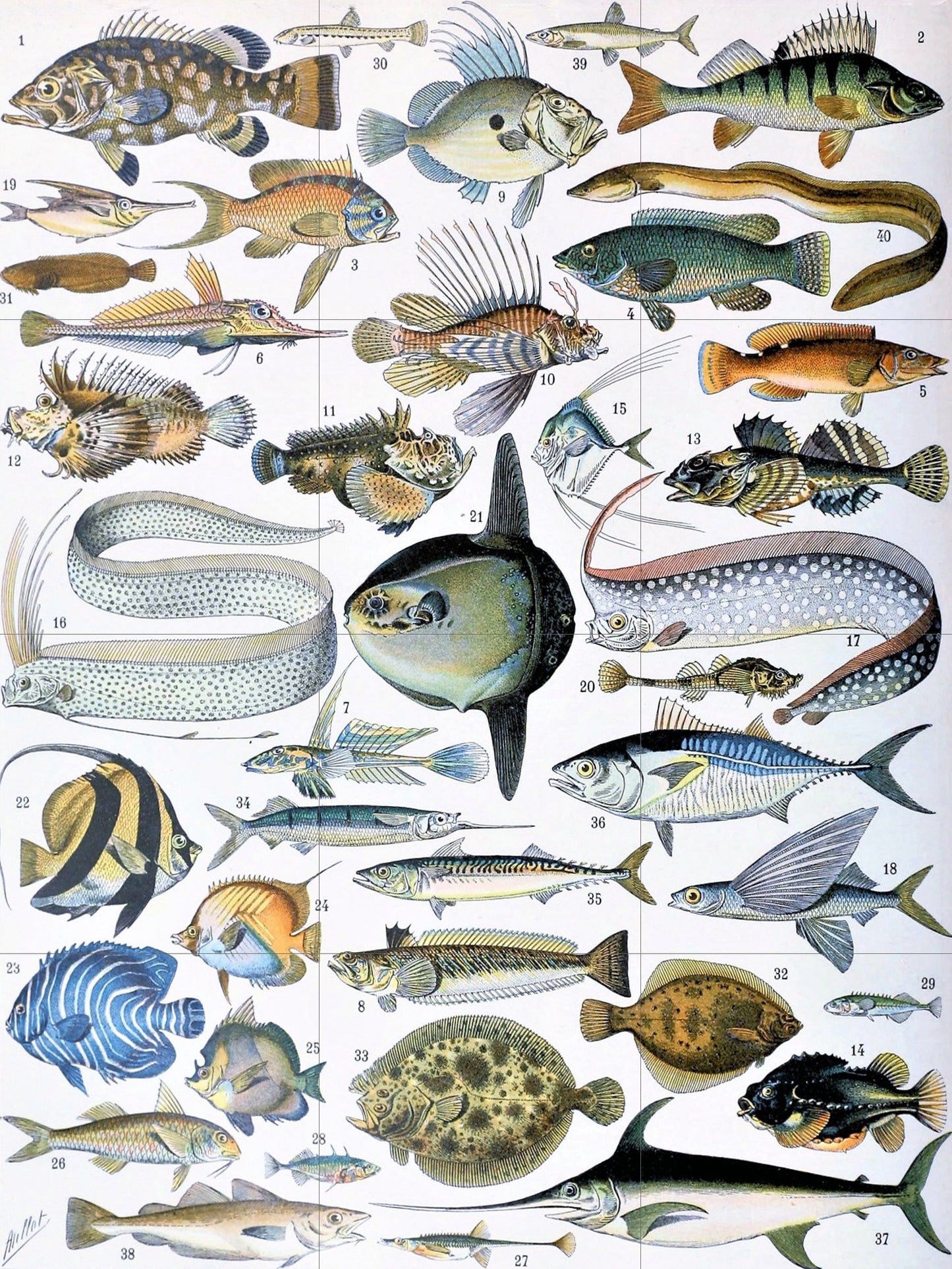 Tile Mural/Mosaic Ceramic Panel of Pisces - Adolphe Millot - Vintage Pisces Print - Animal Wall Art - Adolphe Millot Vintage Illustration