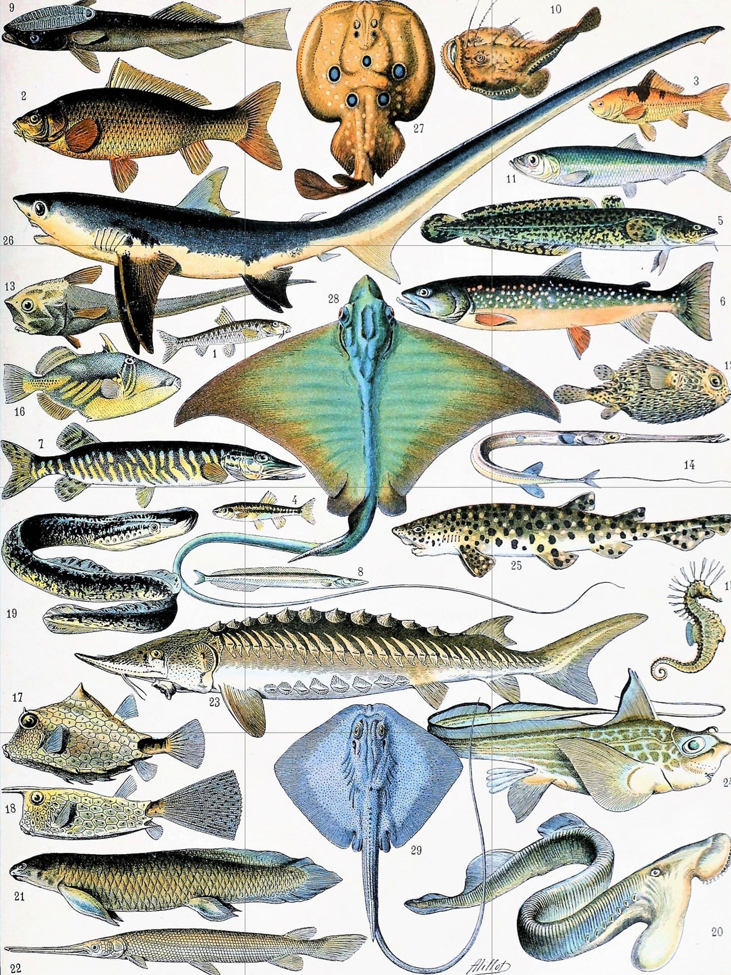 Tile Mural/Mosaic Ceramic Panel of Pisces - Adolphe Millot - Vintage Pisces Print - Animal Wall Art - Adolphe Millot Vintage Illustration