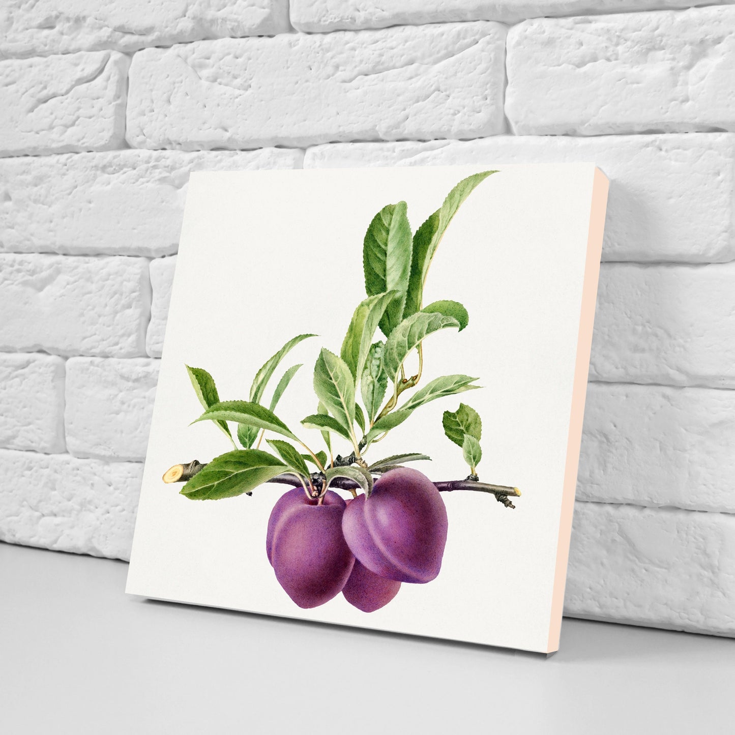 Vintage Fruit Print Ceramic Tiles - Set of 3 Ceramic Decor Tiles - Kitchen Backsplash Tiles, Bathroom Tiles, Fruit illustration print