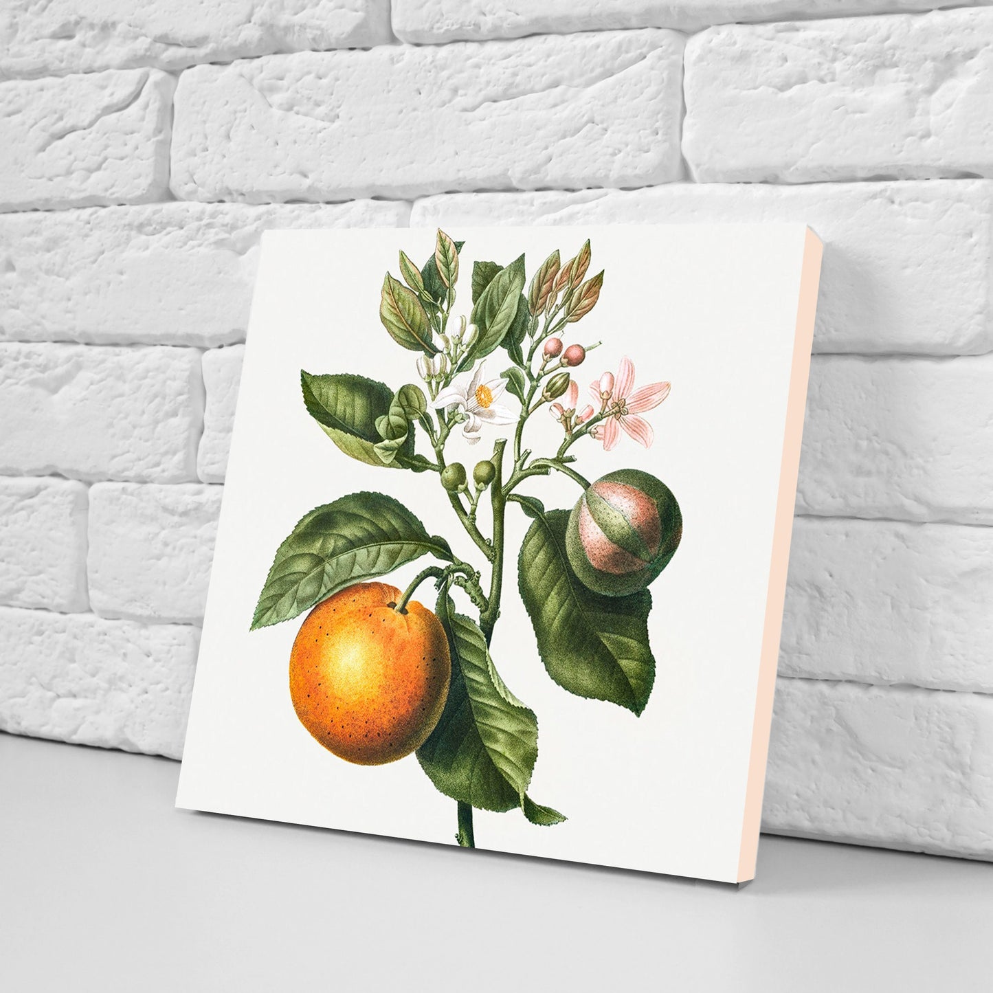 Vintage Fruit Print Ceramic Tiles - Set of 3 Ceramic Decor Tiles - Kitchen Backsplash Tiles, Bathroom Tiles, Fruit illustration print