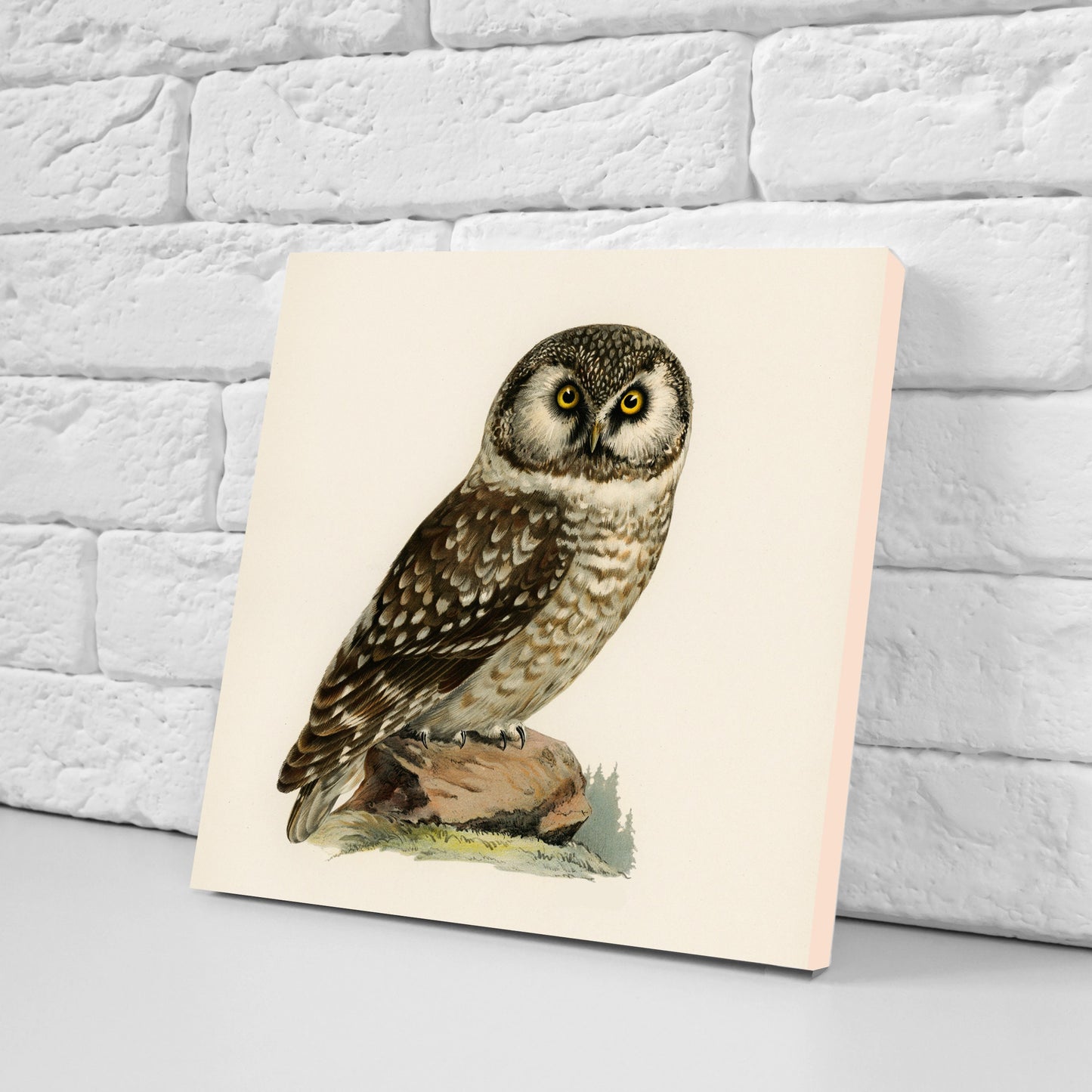 Vintage Owl Print Ceramic Tiles - Set of 3 Ceramic Decor Tiles - Kitchen Backsplash Tiles, Bathroom Tiles, Bird wall art, Owl illustration