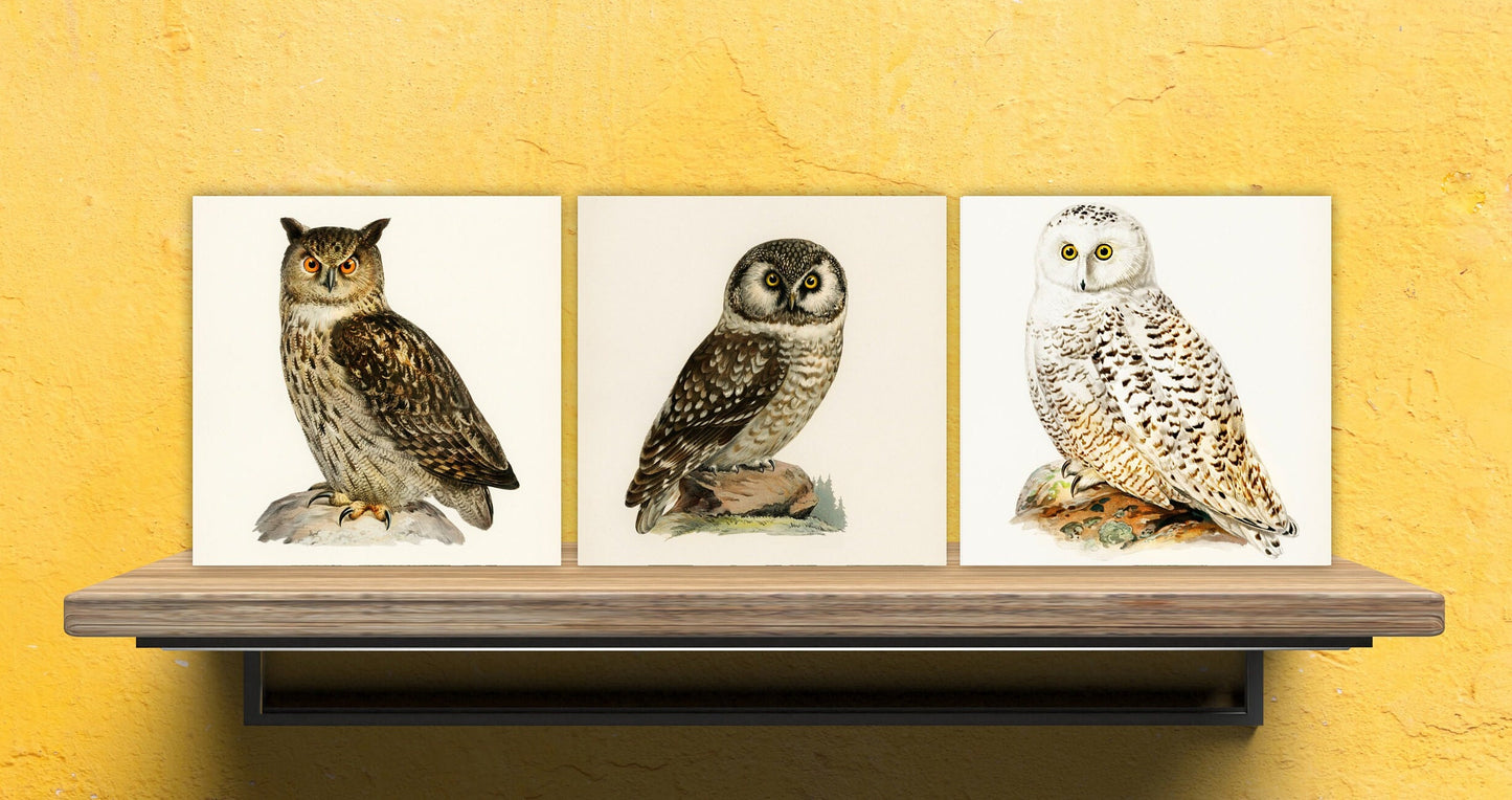 Vintage Owl Print Ceramic Tiles - Set of 3 Ceramic Decor Tiles - Kitchen Backsplash Tiles, Bathroom Tiles, Bird wall art, Owl illustration