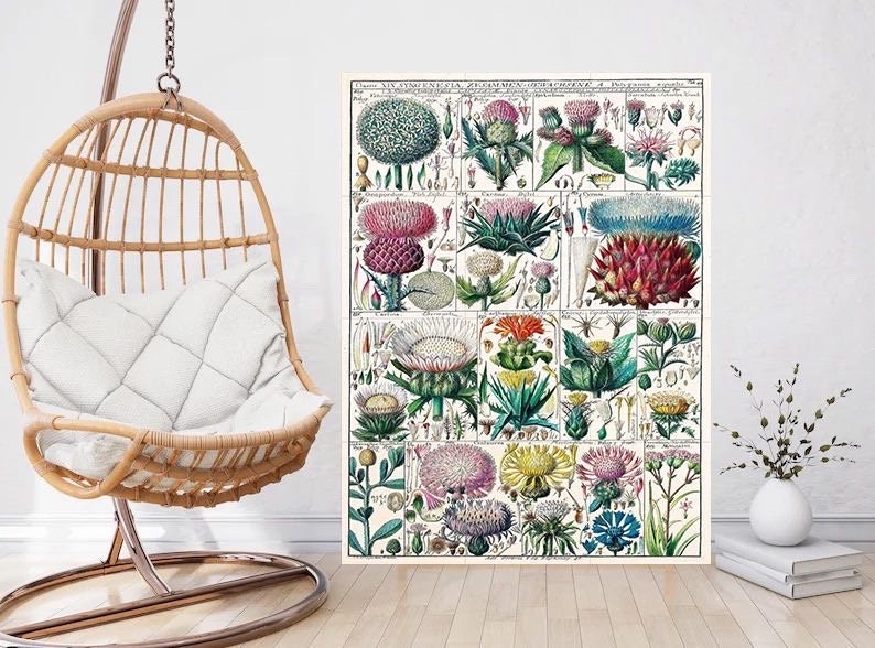 Tile Mural/Mosaic Ceramic Vintage Botanical Print Wildflowers - Larousse -Nature Wall Art - Flower Illustration - Larousse - Kitchen Mural