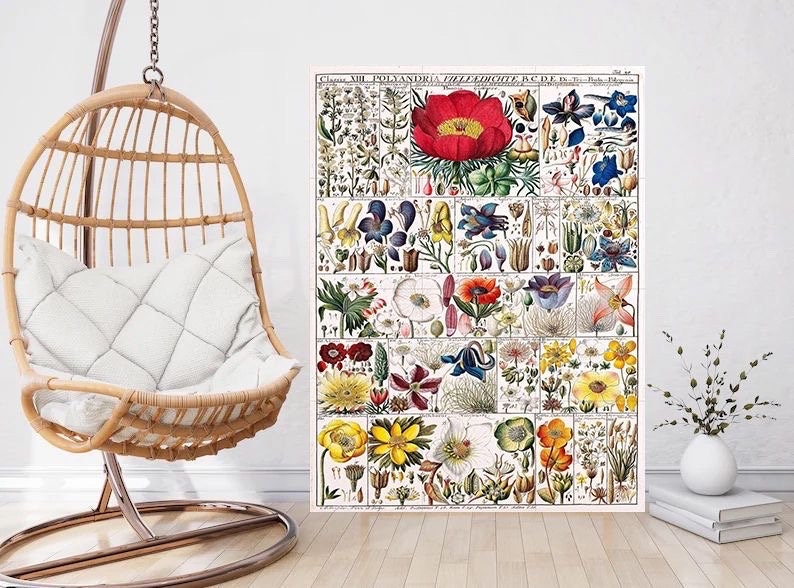 Tile Mural/Mosaic Ceramic Vintage Botanical Print Wildflowers - Larousse -Nature Wall Art - Flower Illustration - Larousse - Kitchen Mural