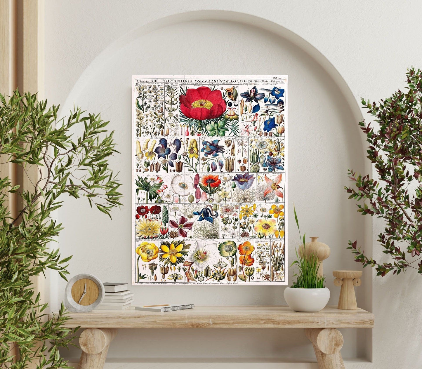 Tile Mural/Mosaic Ceramic Vintage Botanical Print Wildflowers - Larousse -Nature Wall Art - Flower Illustration - Larousse - Kitchen Mural