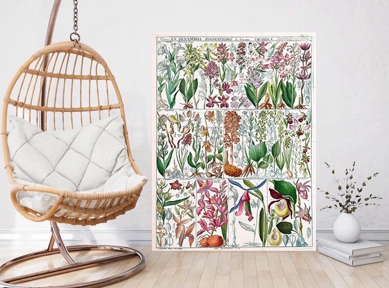 Tile Mural/Mosaic Ceramic Vintage Botanical Print Wildflowers - Larousse -Nature Wall Art - Flower Illustration - Larousse - Kitchen Mural