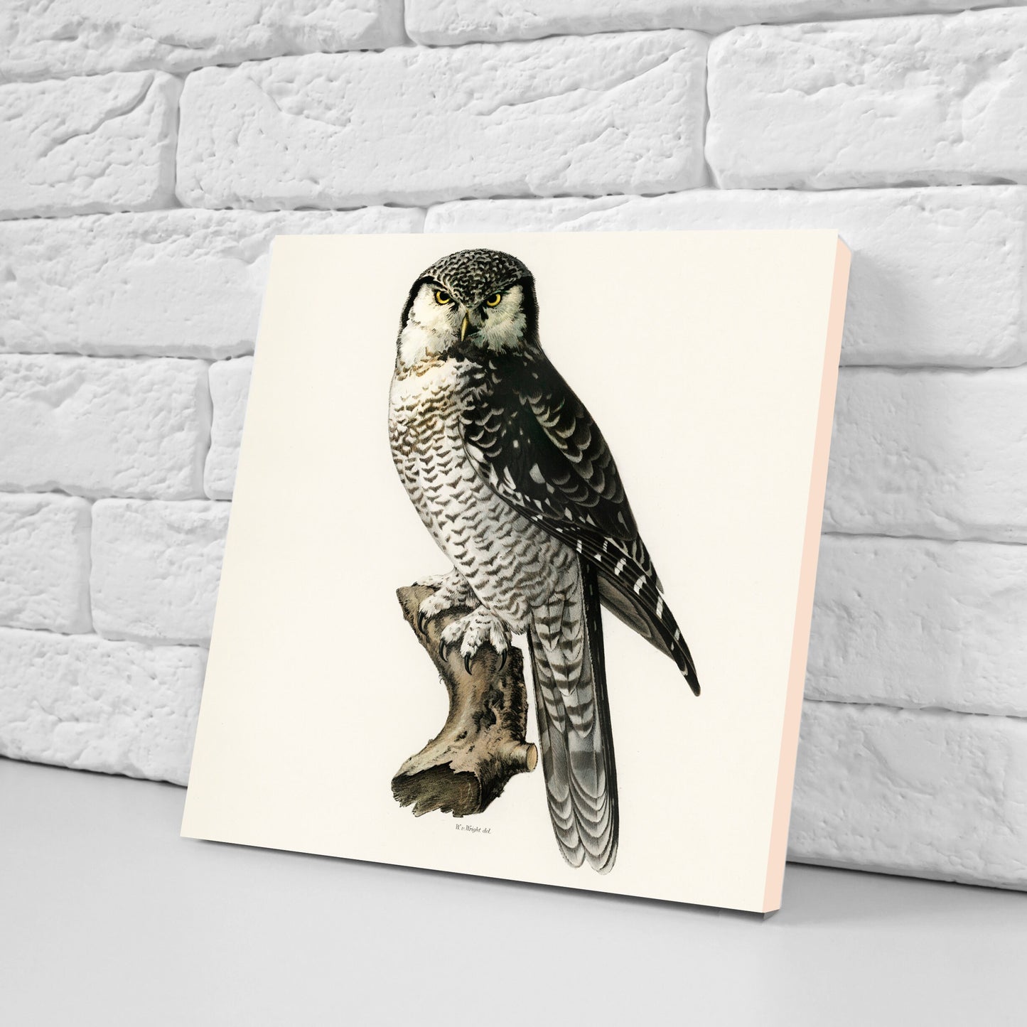 Vintage Owl Print Ceramic Tiles - Set of 3 Ceramic Decor Tiles - Kitchen Backsplash Tiles, Bathroom Tiles, Bird wall art, Owl illustration