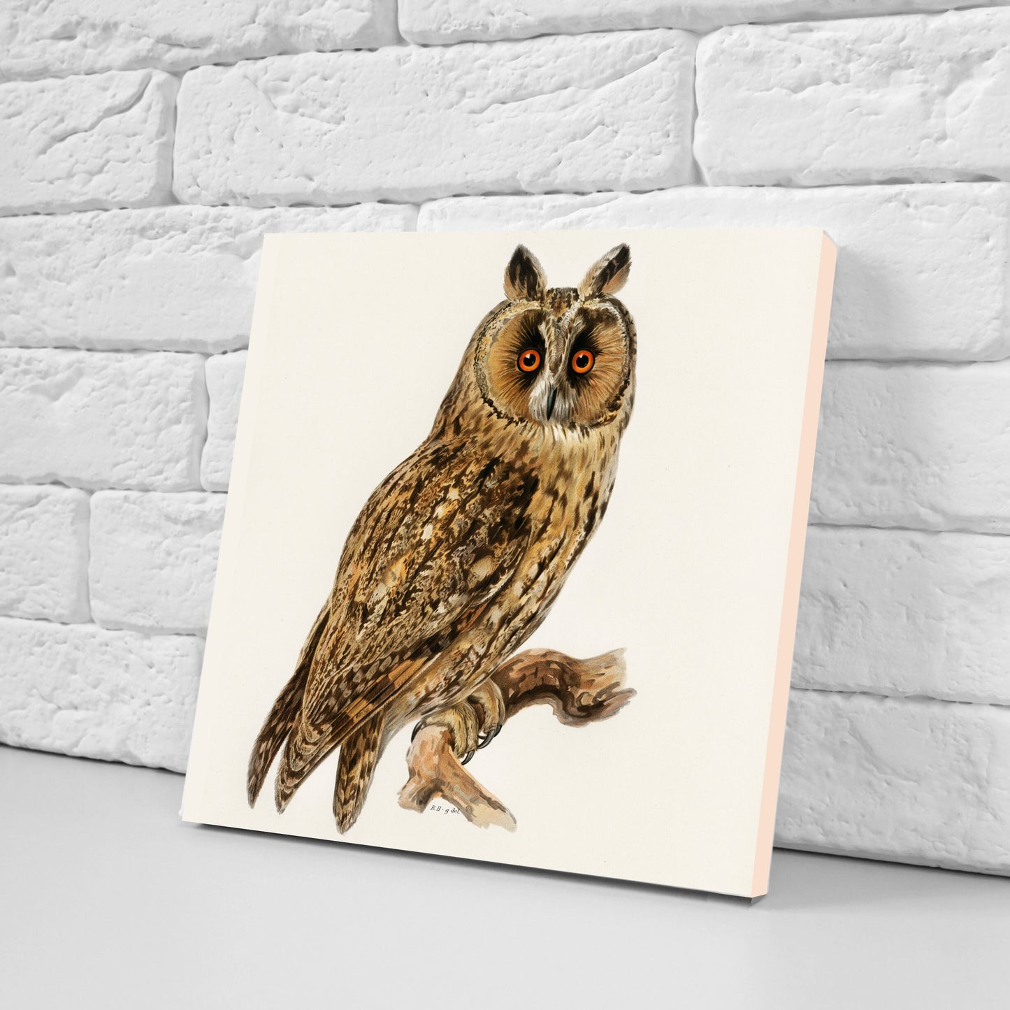 Vintage Owl Print Ceramic Tiles - Set of 3 Ceramic Decor Tiles - Kitchen Backsplash Tiles, Bathroom Tiles, Bird wall art, Owl illustration