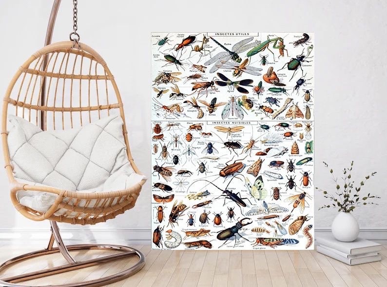 Tile Mural/Mosaic Ceramic Panel of Insects - Adolphe Millot - Vintage Insect Print - Insect Art - Adolphe Millot Print Vintage Illustration