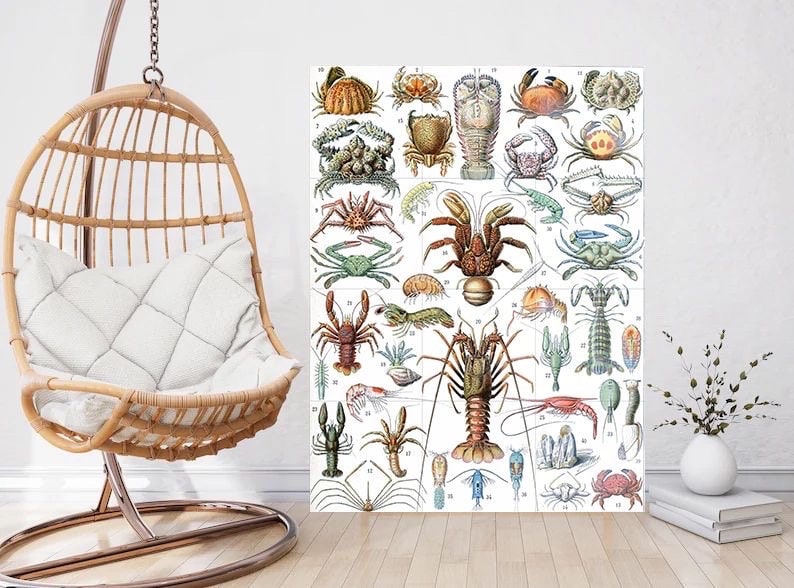 Tile Mural/Mosaic Ceramic Panel of Crustaceans - Adolphe Millot -Vintage Print - Marine Wall Art - Adolphe Millot Print Vintage Illustration