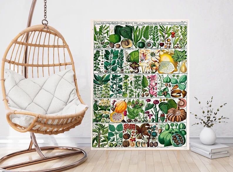 Tile Mural/Mosaic Ceramic Vintage Fruit Illustration - Larousse - Fruit Wall Art - Vintage Botanical Print - Fruits Wall Art - Fruit Print