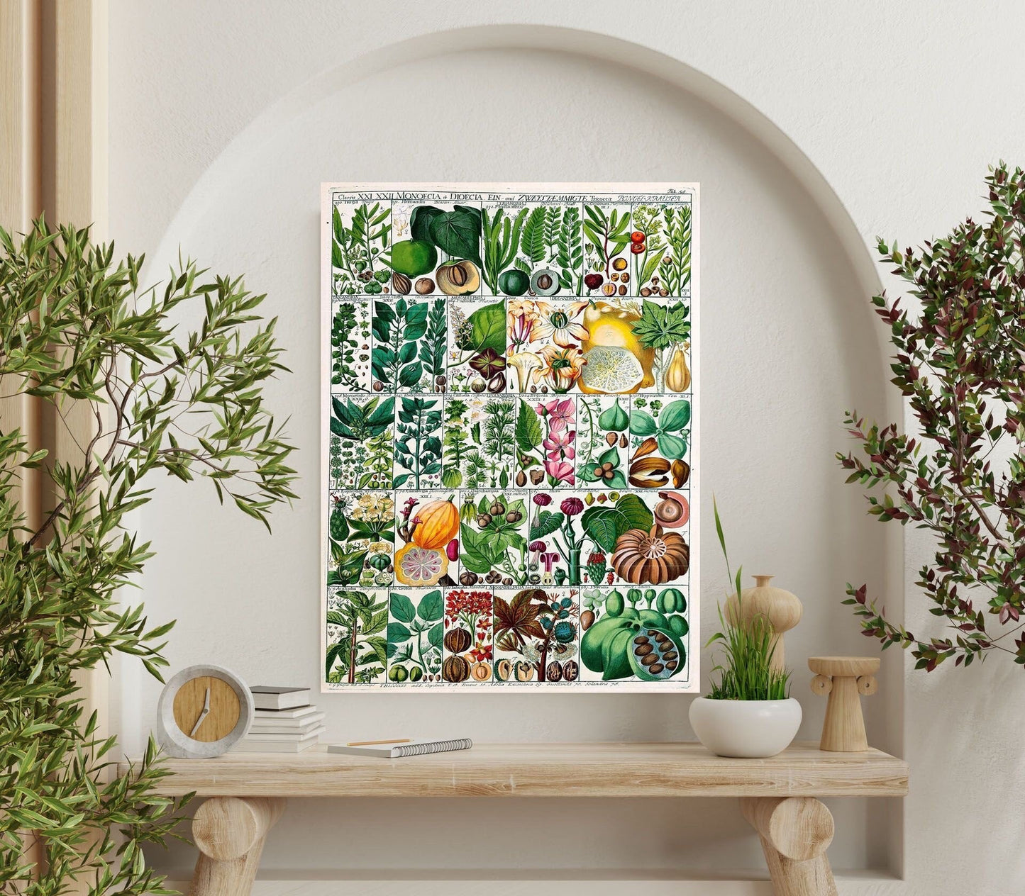 Tile Mural/Mosaic Ceramic Vintage Fruit Illustration - Larousse - Fruit Wall Art - Vintage Botanical Print - Fruits Wall Art - Fruit Print