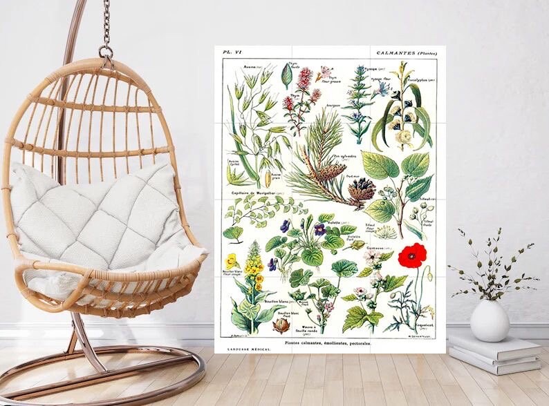 Tile Mural/Mosaic Ceramic Vintage Medical Herbs Illustration -Larousse -Herb Wall Art - Vintage Botanical Print -Plant Art - Herbs Print