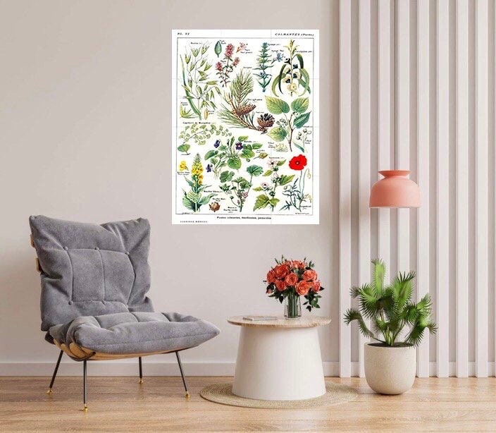 Tile Mural/Mosaic Ceramic Vintage Medical Herbs Illustration -Larousse -Herb Wall Art - Vintage Botanical Print -Plant Art - Herbs Print